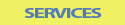 Navigation button linking to Services page
